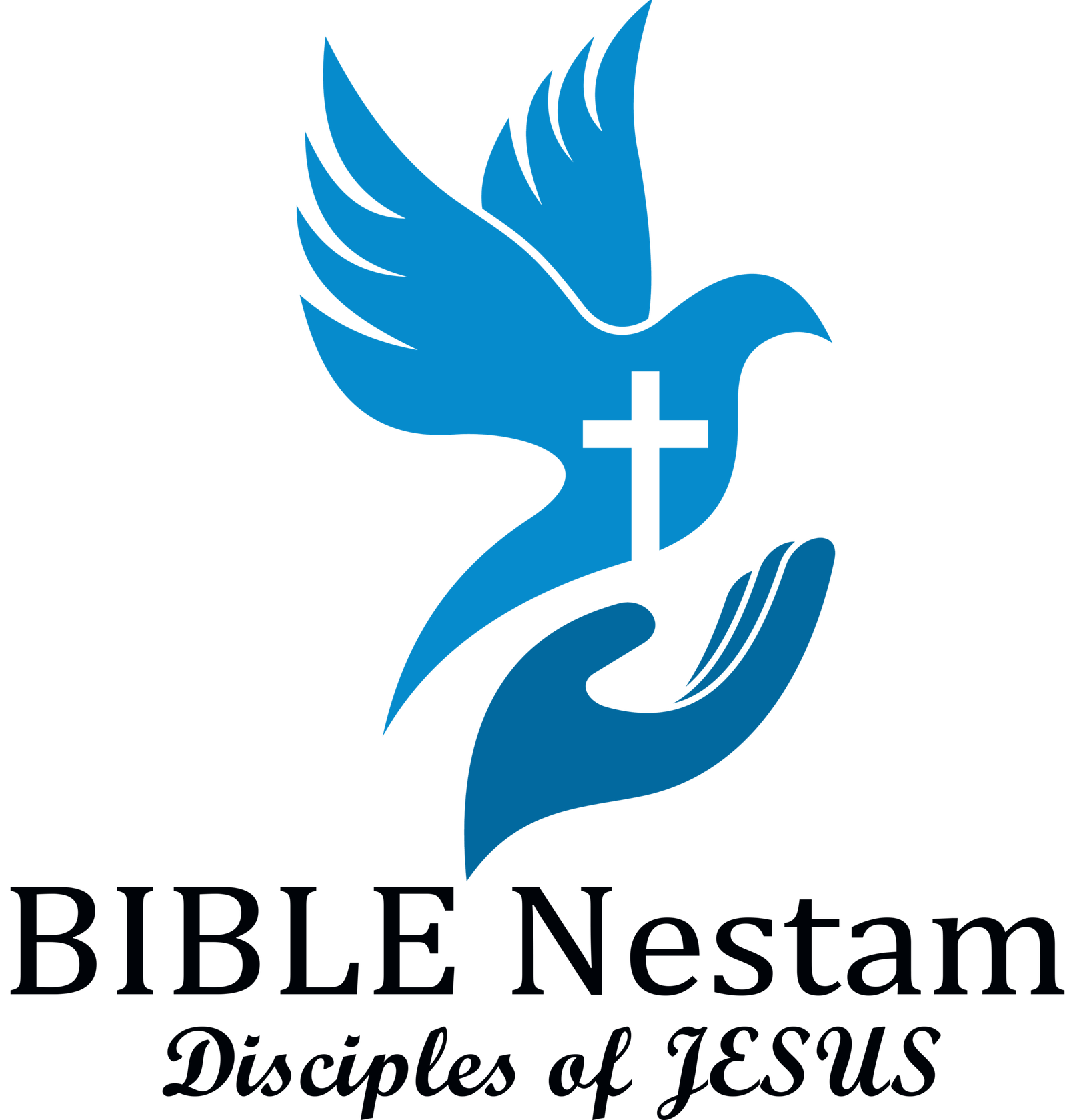 biblicalmaturity.com Logo